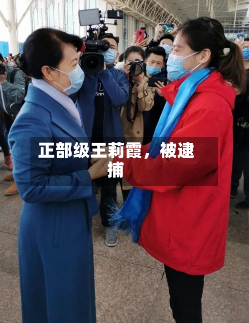 正部级王莉霞，被逮捕-第2张图片