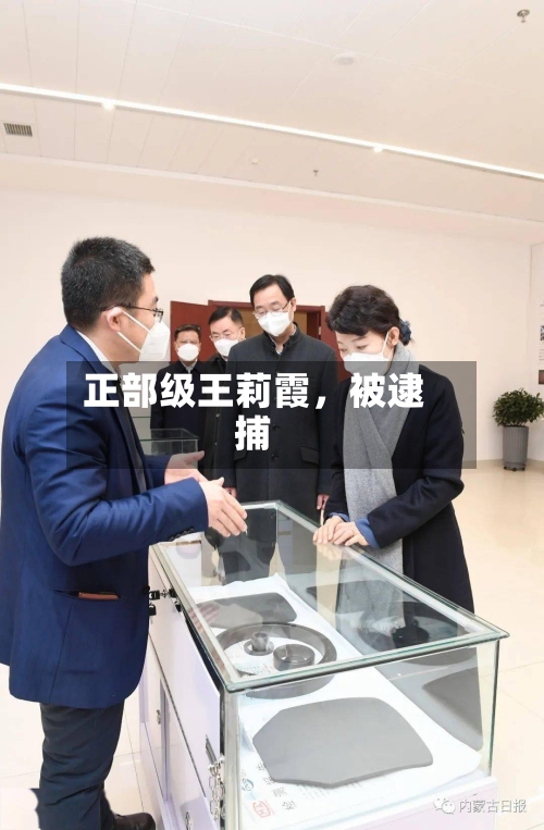 正部级王莉霞，被逮捕-第3张图片