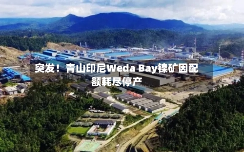 突发!青山印尼Weda Bay镍矿因配额耗尽停产-第2张图片