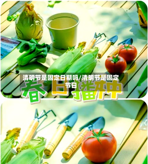 清明节是固定日期吗/清明节是固定节日