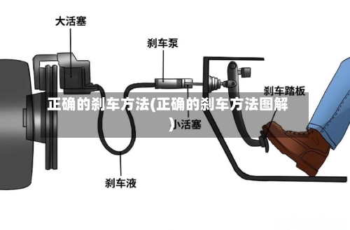 正确的刹车方法(正确的刹车方法图解)