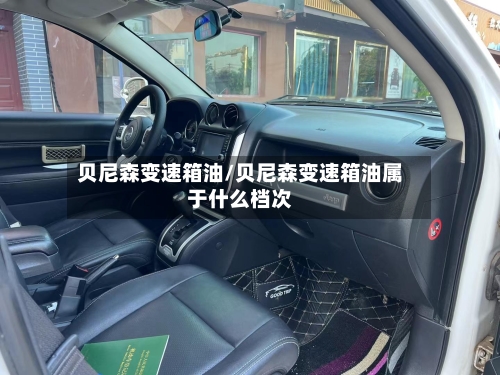 贝尼森变速箱油/贝尼森变速箱油属于什么档次-第2张图片