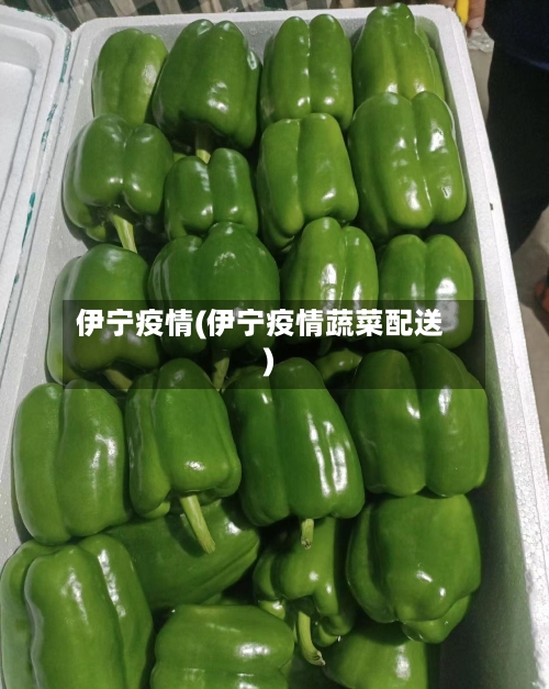 伊宁疫情(伊宁疫情蔬菜配送)
