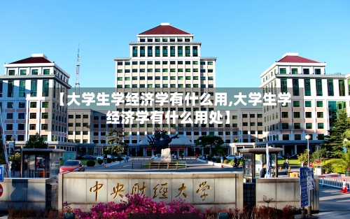 【大学生学经济学有什么用,大学生学经济学有什么用处】-第2张图片