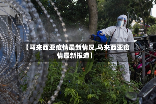 【马来西亚疫情最新情况,马来西亚疫情最新报道】-第3张图片