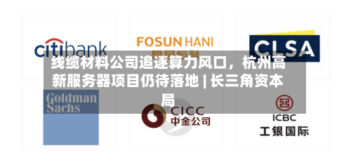 线缆材料公司追逐算力风口，杭州高新服务器项目仍待落地 | 长三角资本局-第2张图片