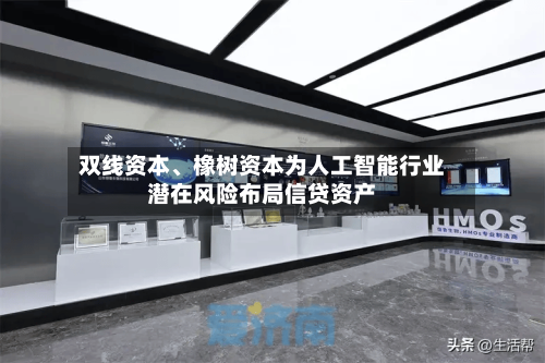 双线资本、橡树资本为人工智能行业潜在风险布局信贷资产-第2张图片