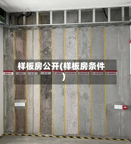样板房公开(样板房条件)