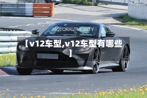 【v12车型,v12车型有哪些】-第2张图片
