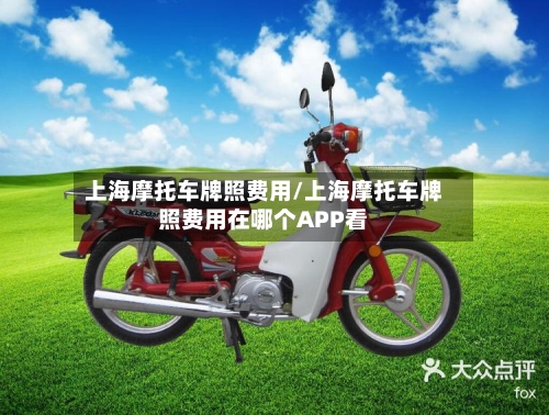 上海摩托车牌照费用/上海摩托车牌照费用在哪个APP看-第3张图片