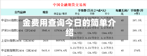 金费用查询今日的简单介绍-第2张图片