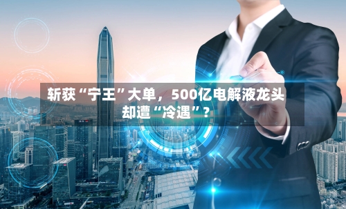 斩获“宁王”大单，500亿电解液龙头却遭“冷遇	”？-第2张图片