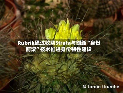 Rubrik通过收购Strata与创新“身份前滚”技术推进身份韧性建设-第2张图片
