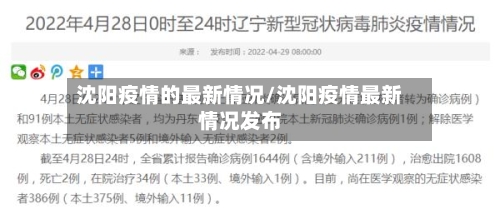沈阳疫情的最新情况/沈阳疫情最新情况发布