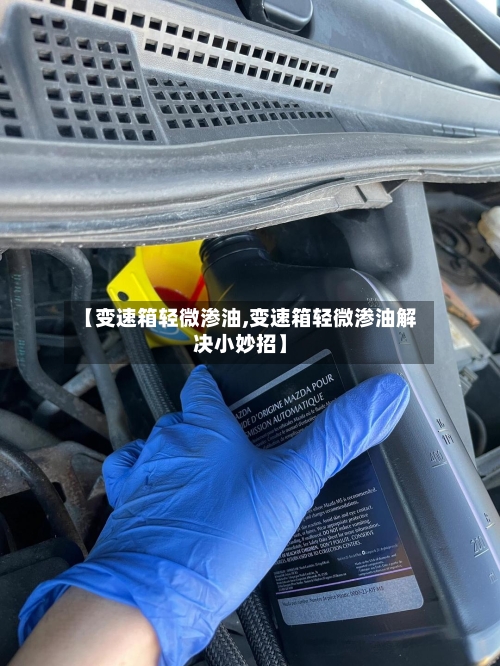 【变速箱轻微渗油,变速箱轻微渗油解决小妙招】-第2张图片