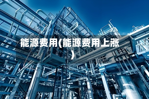 能源费用(能源费用上涨)