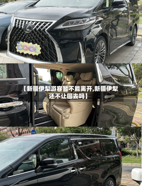 【新疆伊犁游客暂不能离开,新疆伊犁还不让回去吗】