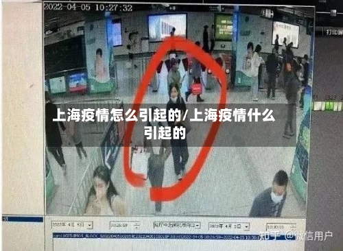 上海疫情怎么引起的/上海疫情什么引起的-第2张图片