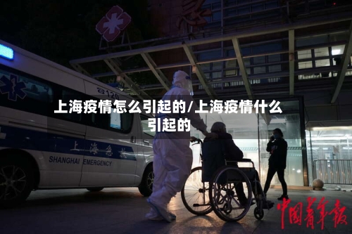 上海疫情怎么引起的/上海疫情什么引起的