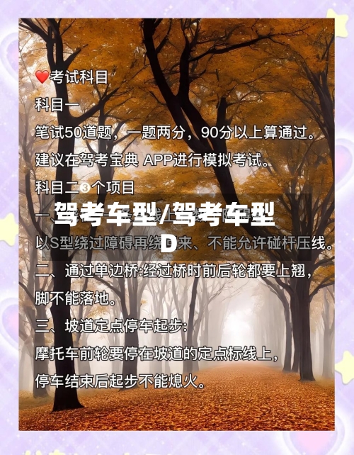 驾考车型/驾考车型D-第2张图片