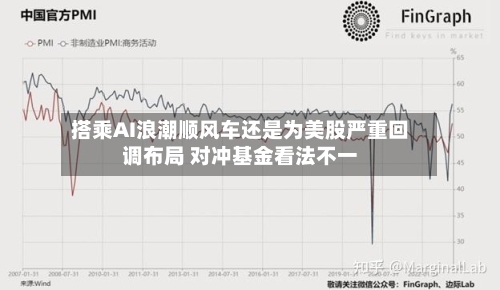 搭乘AI浪潮顺风车还是为美股严重回调布局 对冲基金看法不一